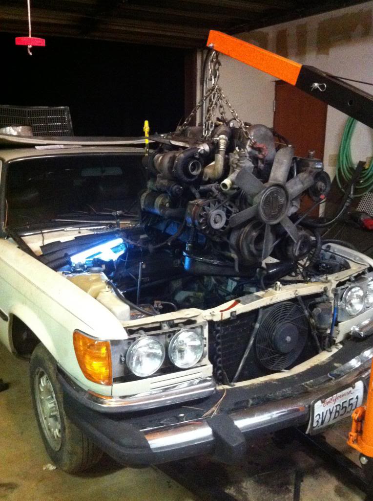 Name:  IMG_0878_zpsc4ddc688.jpg
Views: 166
Size:  114.3 KB