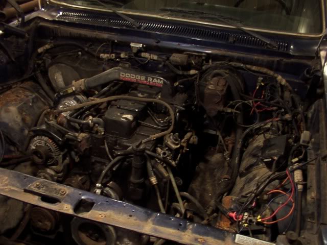 Name:  215-1.jpg
Views: 3174
Size:  57.0 KB