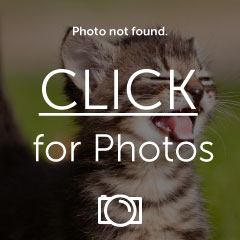Name:  IMG_20101124_194344.jpg
Views: 193
Size:  14.0 KB