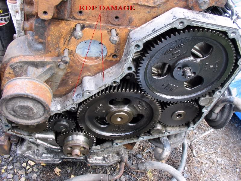 Name:  Bb780047.jpg
Views: 5205
Size:  163.6 KB