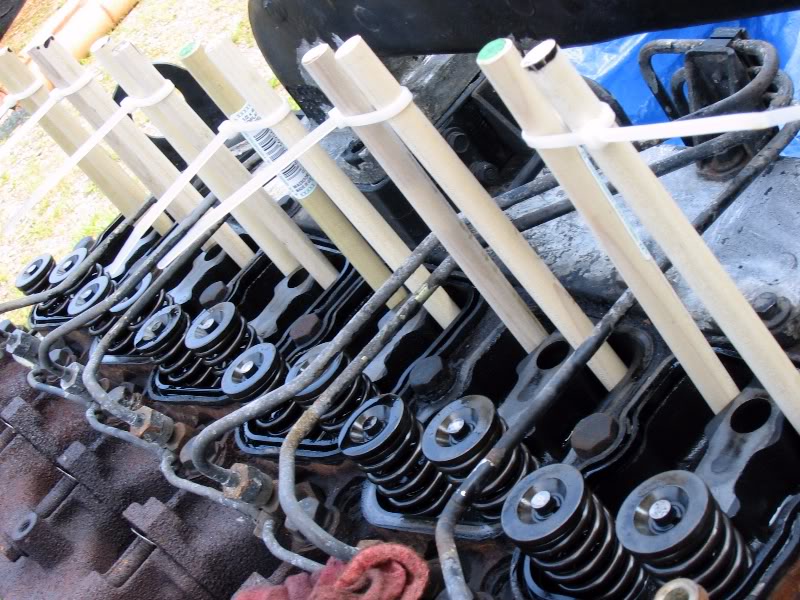 Name:  Bb780056.jpg
Views: 4063
Size:  122.8 KB