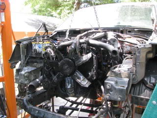 Name:  IMG_2709.jpg
Views: 2371
Size:  41.4 KB