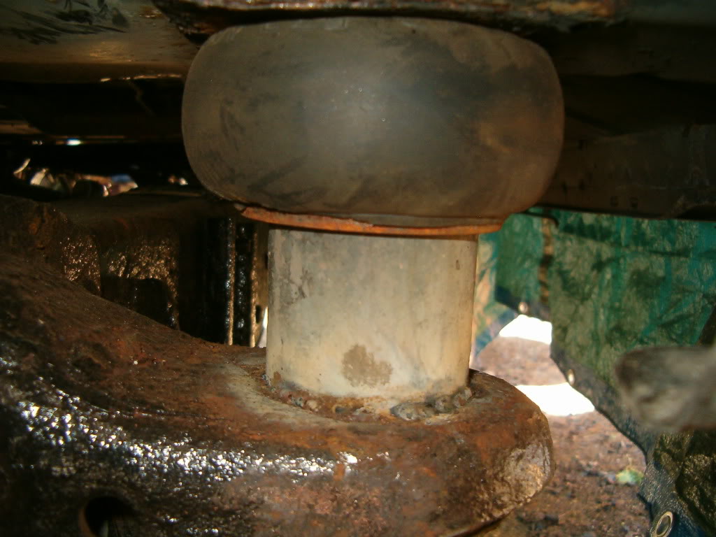 Name:  HPIM1575.jpg
Views: 1217
Size:  103.7 KB
