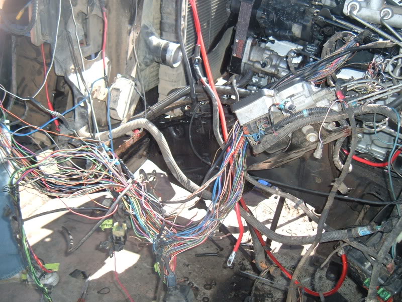 Name:  DSCF2203.jpg
Views: 1597
Size:  154.1 KB