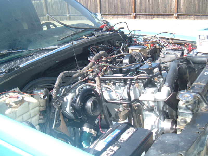 Name:  DSCF2210.jpg
Views: 1600
Size:  117.6 KB