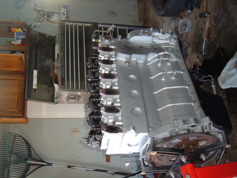 Name:  DSCF2184.jpg
Views: 2044
Size:  78.2 KB