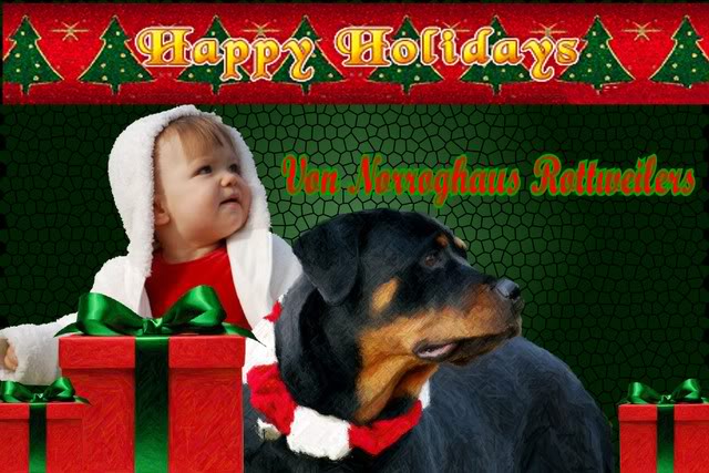 Name:  Project2.jpg
Views: 18
Size:  68.8 KB