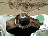 T Case all brokey...again!-driveshaft-004.jpg