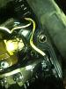 Glow plug removal/ install on my truck-imageuploadedbytapatalk1327203810.105871.jpg