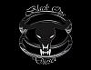 Black Ops Diesel Wastegate Kit-logo-v2.jpg