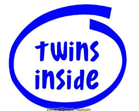 Name:  twinsinside-1.jpg
Views: 141
Size:  26.6 KB