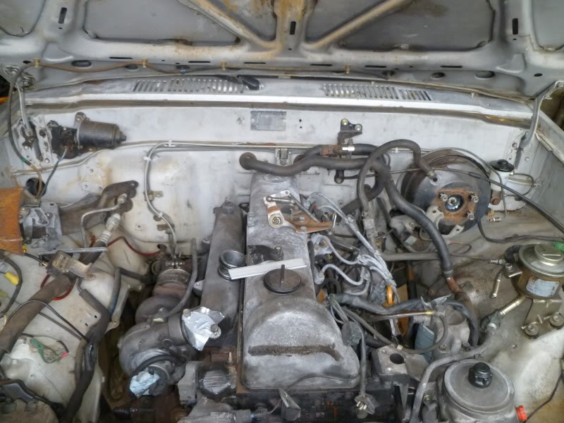 Name:  P1000491.jpg
Views: 242
Size:  127.1 KB