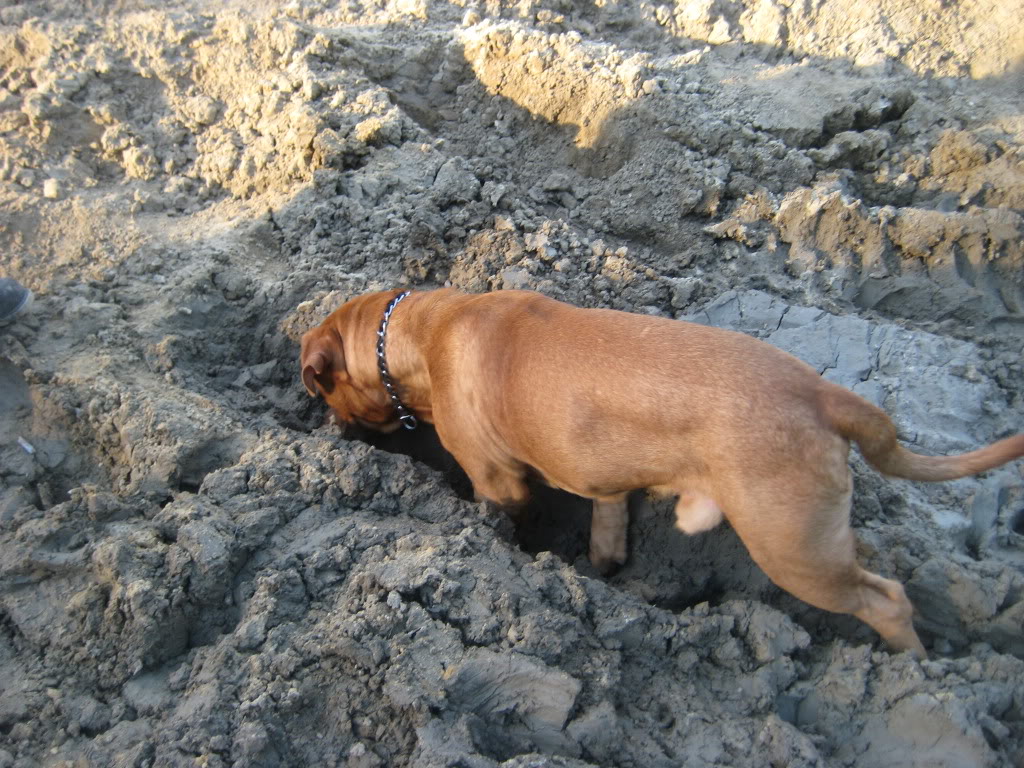 Name:  IMG_0048.jpg
Views: 281
Size:  227.9 KB