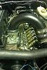 Custom Intake Horn-74430_447629288482_696258482_5552732_1796076_n.jpg