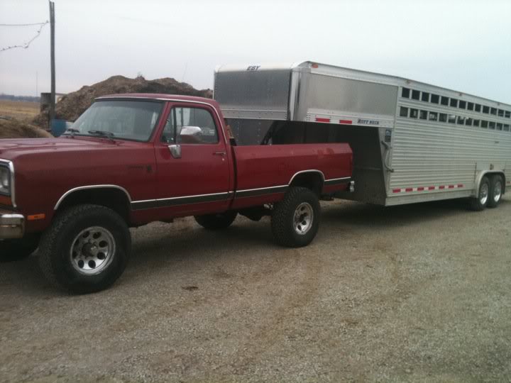Name: spenserstruck2.jpg
Views: 113
Size: 48.7 KB