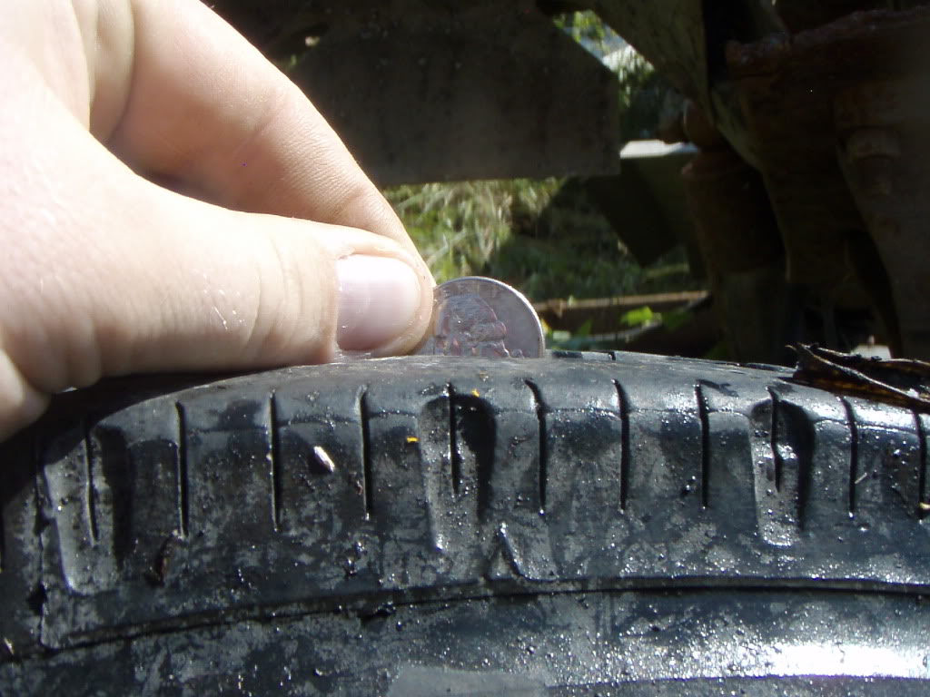 Name:  PB036319.jpg
Views: 165
Size:  121.8 KB