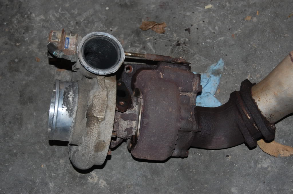 Name:  DSC_0264.jpg
Views: 121
Size:  141.0 KB