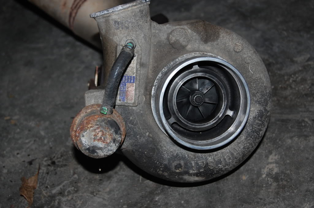 Name:  DSC_0265.jpg
Views: 130
Size:  141.3 KB