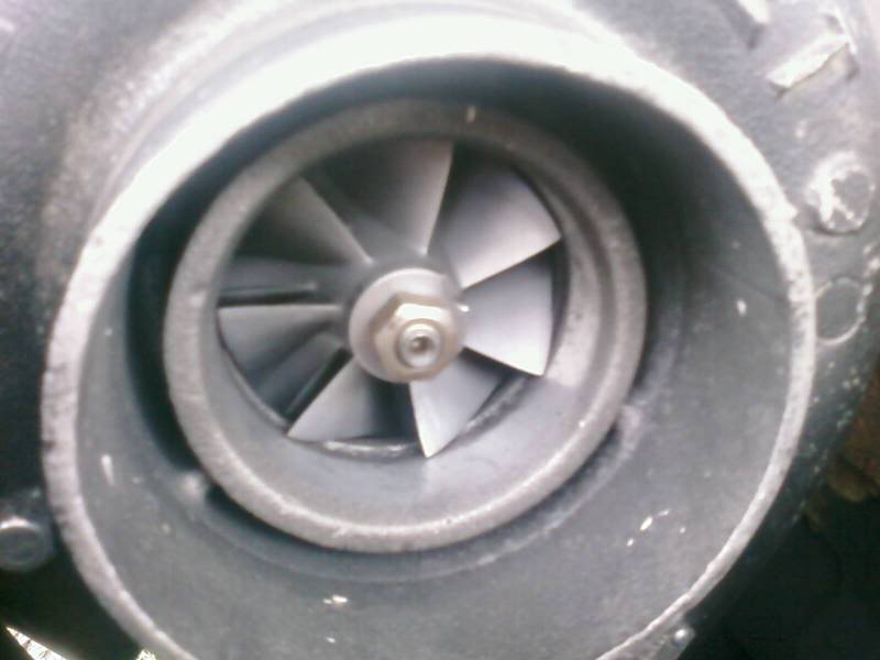 Name:  1245707052.jpg
Views: 79
Size:  33.7 KB