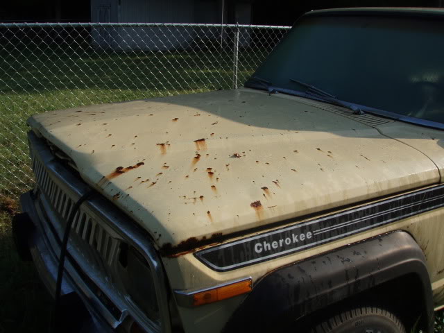 Name:  P1010321.jpg
Views: 128
Size:  73.3 KB