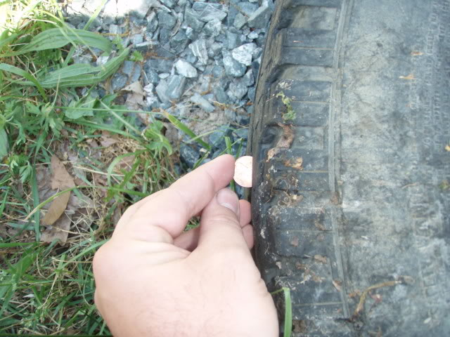 Name: P1010297.jpg
Views: 127
Size: 78.1 KB