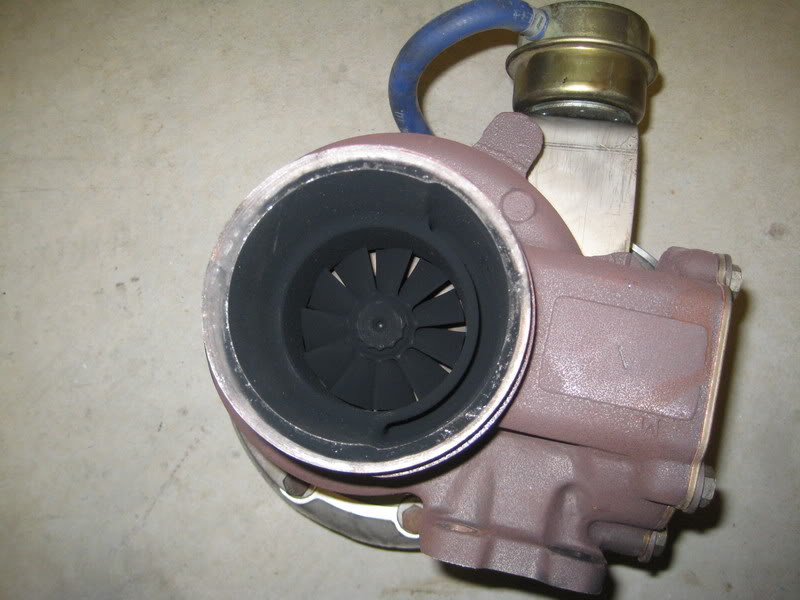 Name:  IMG_2854.jpg
Views: 162
Size:  67.3 KB