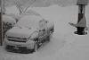 SNOW PICTURES!!! Lets see them!!-dsc_0074.jpg