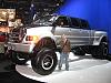 Now This Is A TRUCK!-fordtruck.jpg