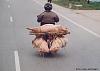 today's email pics-00000943.jpg