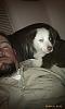 Show off your Hound(s)!!!-imag0248.jpg