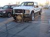 Strange Deer Hit-deer-super-duty.jpg