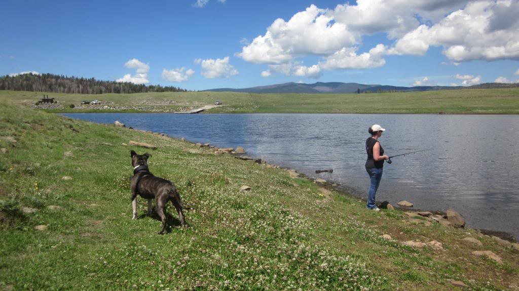 Name:  BigLakeAugust2012048.jpg
Views: 47
Size:  102.4 KB
