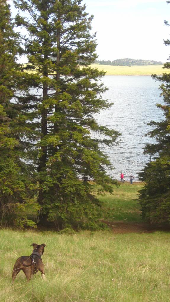 Name:  BigLakeAugust2012158.jpg
Views: 55
Size:  115.4 KB