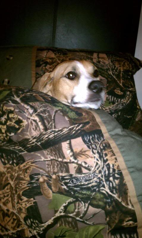 Name:  Leelasleeping.jpg
Views: 40
Size:  54.3 KB