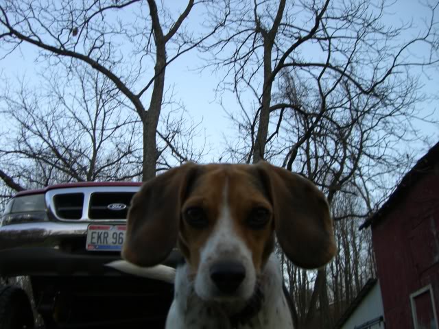 Name:  CIMG1591.jpg
Views: 88
Size:  109.3 KB
