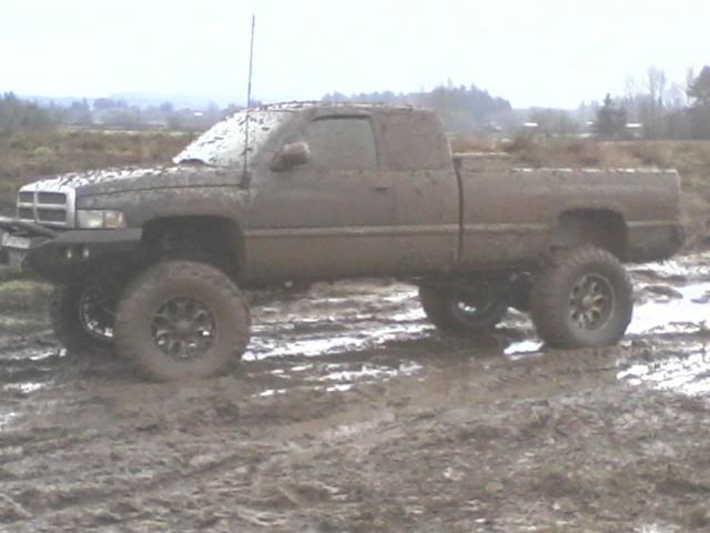 Name: Photo-0047.jpg
Views: 34
Size: 33.0 KB