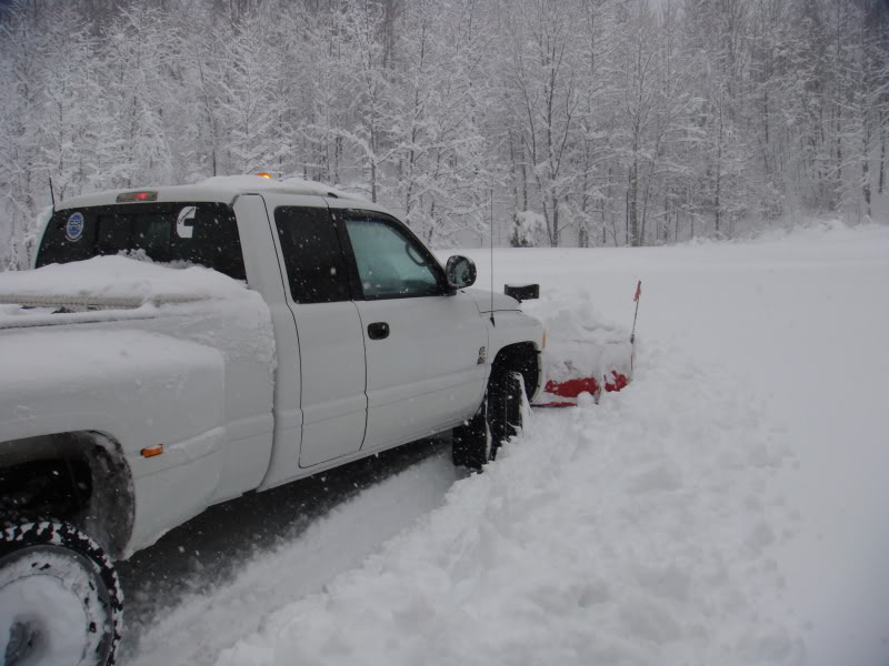 Name: Snowof2010005.jpg
Views: 85
Size: 90.2 KB