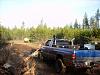 Post A Picture Of Your Ride(s)-rear.jpg