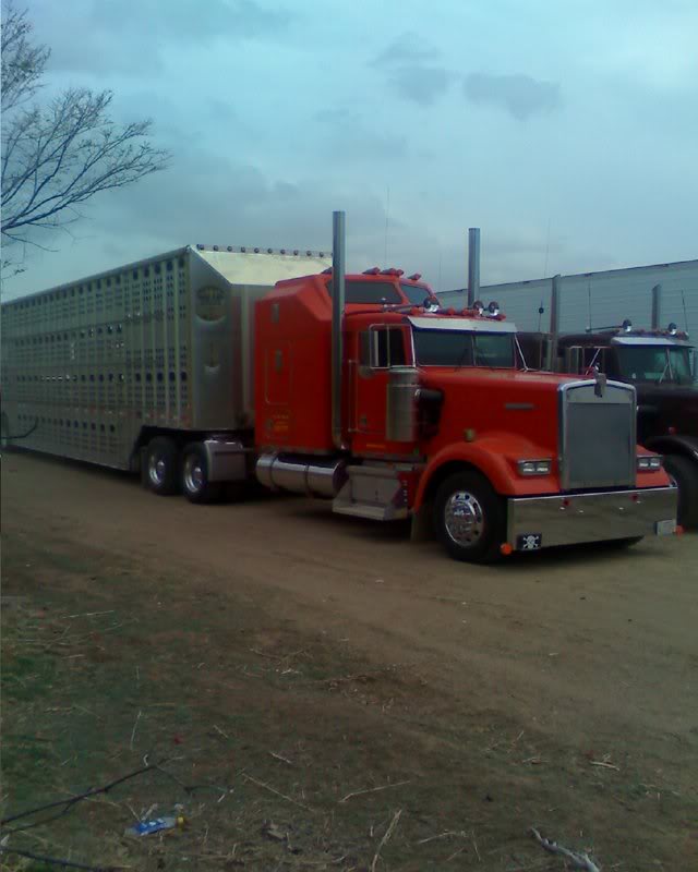 Name:  kwcowtruckn.jpg
Views: 163
Size:  49.1 KB