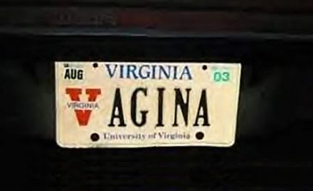 Name:  v-agina-plate.jpg
Views: 48
Size:  13.2 KB