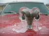 Name:  DSCN0504.jpg
Views: 27
Size:  6.3 KB