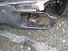 Duramax vs. Bear-bear3.jpg