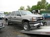 Duramax vs. Bear-bear5.jpg