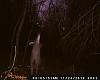 DEER PICS-002.jpg