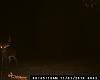 DEER PICS-001.jpg