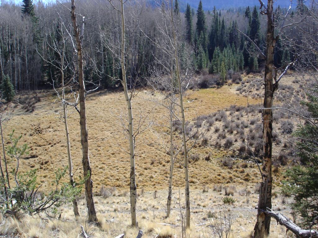Name: ElkHuntingTrip2012011.jpg
Views: 45
Size: 210.1 KB