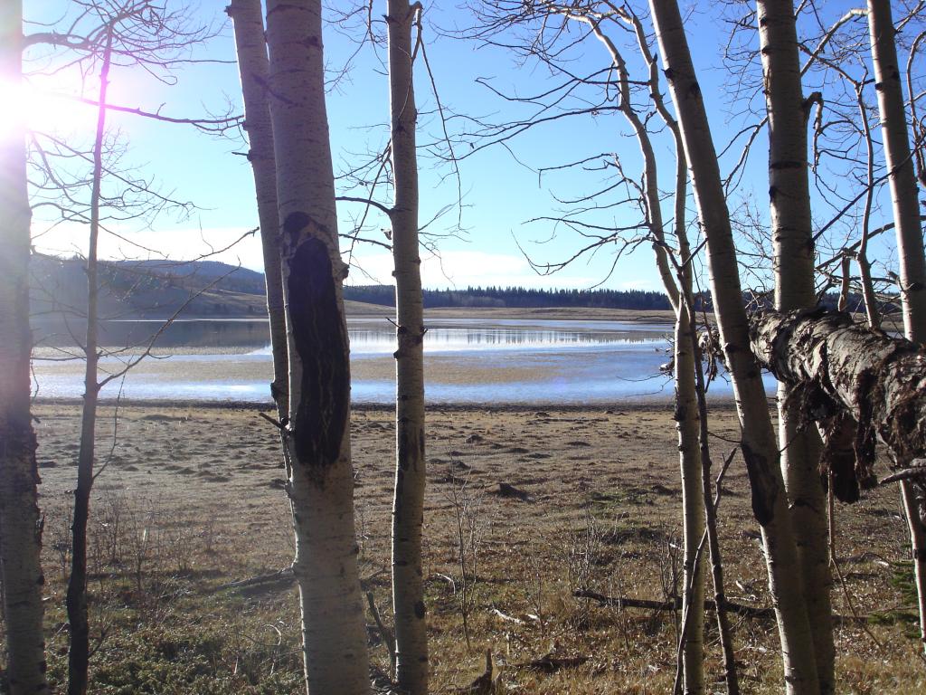 Name: ElkHuntingTrip2012004.jpg
Views: 42
Size: 178.2 KB