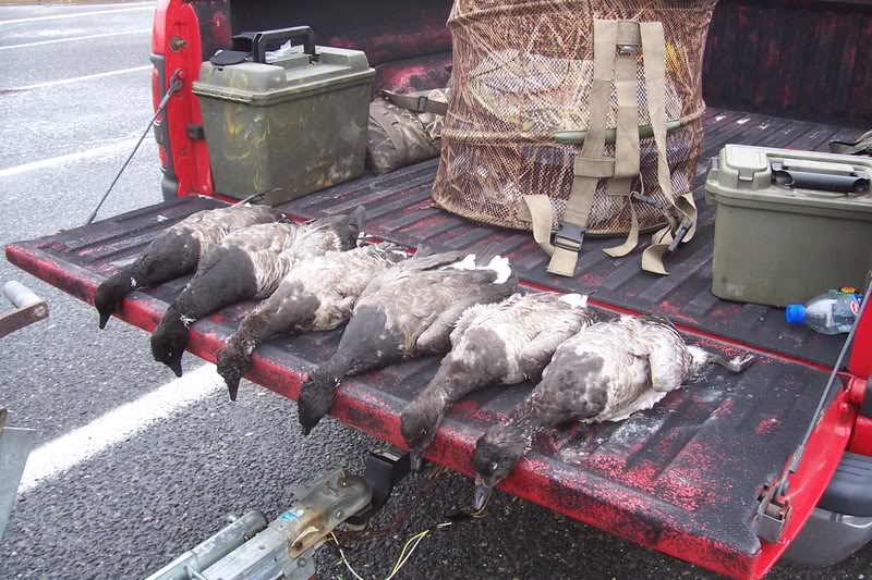 Name: hunting020.jpg
Views: 46
Size: 133.5 KB