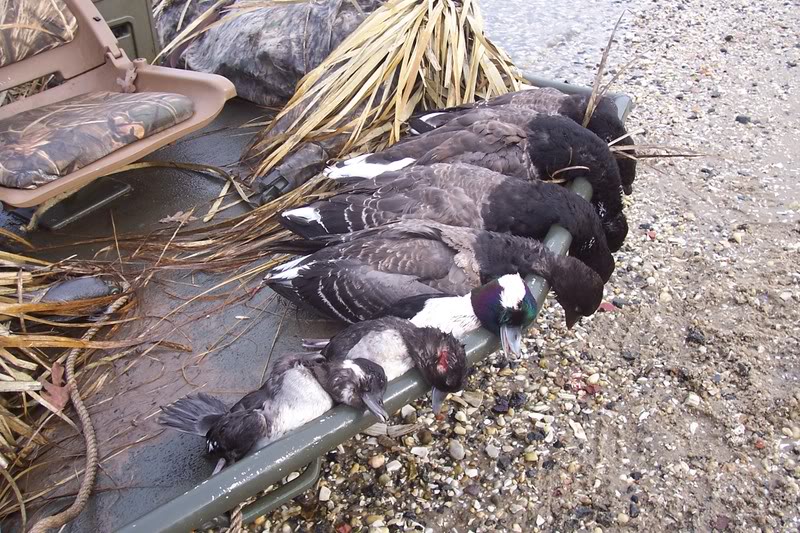 Name: hunting029.jpg
Views: 38
Size: 161.1 KB