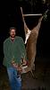 Post up all your Hunting pics!!-deer3.jpg